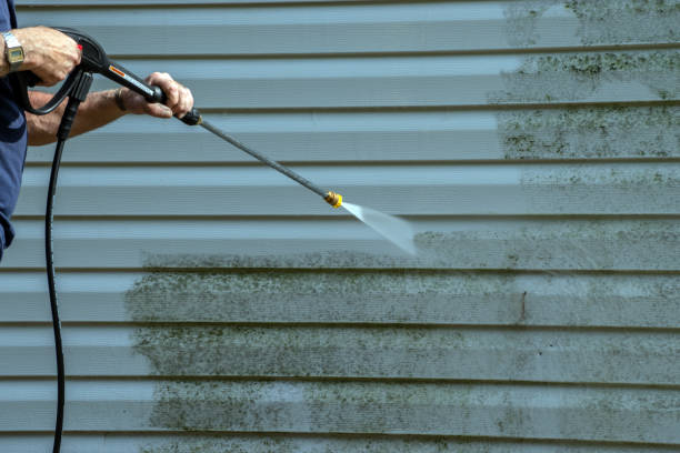 Best Roof Washing  in Boutte, LA